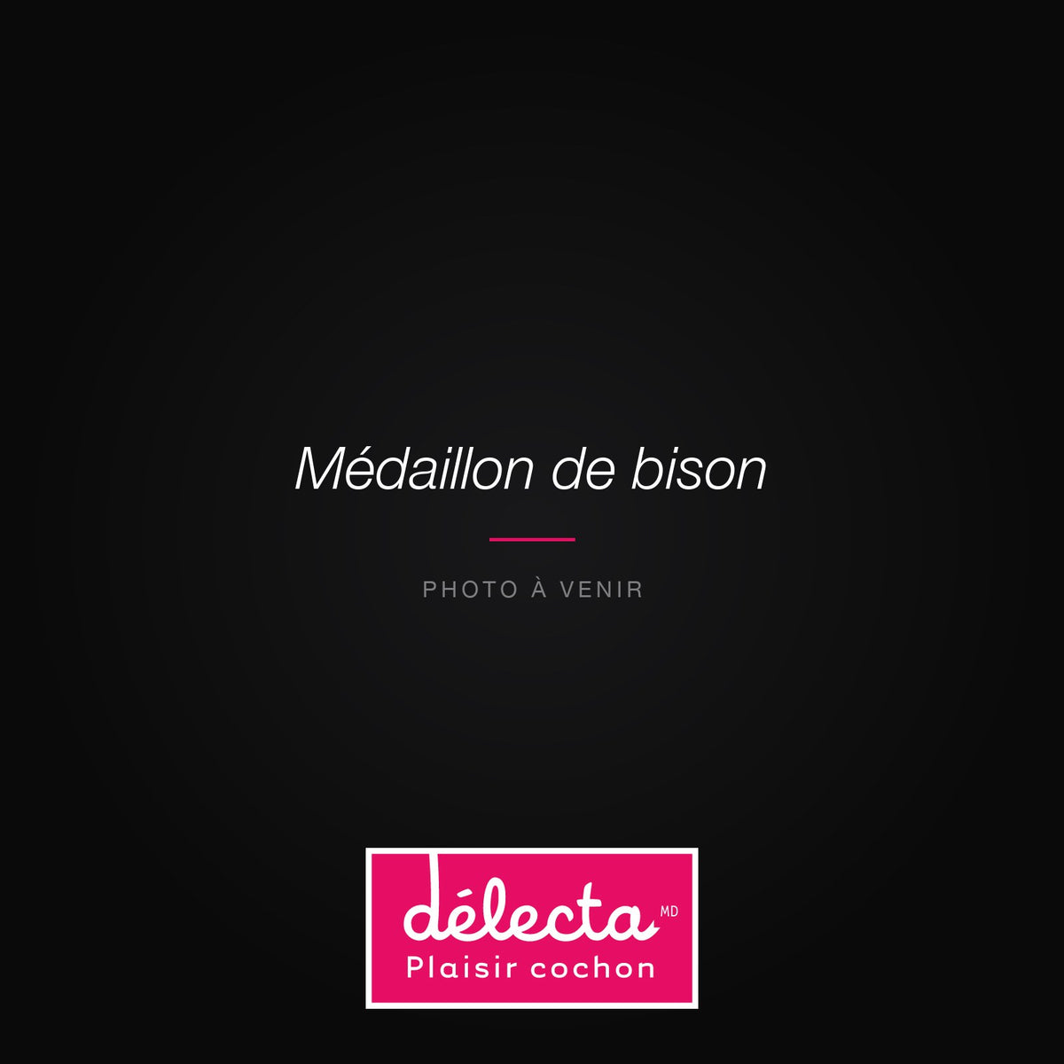 Médaillon de bison